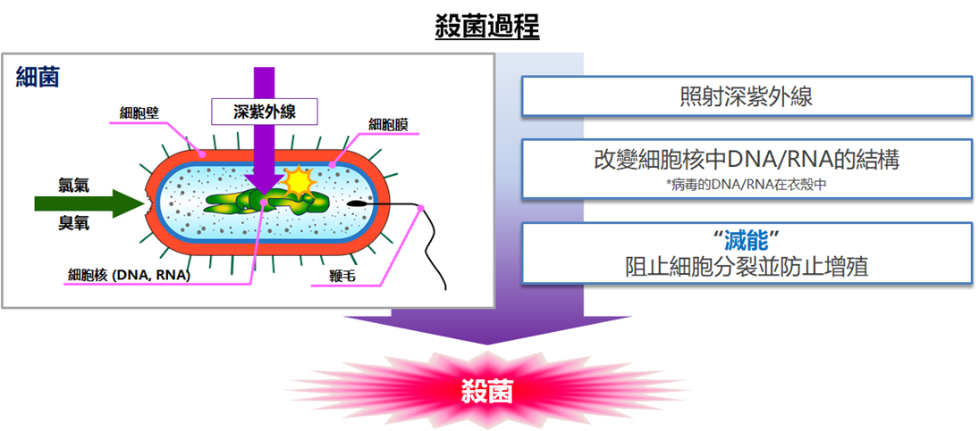 ULTRON UVC 275nm SGS DNA RNA 紫外線光 細菌 病毒 臭氧 殺菌 